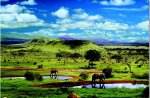 Tsavo National Park, Kenya (500 Piece)